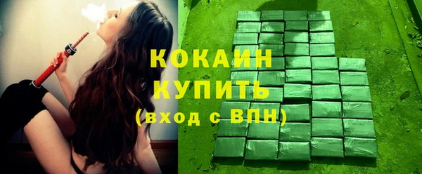 apvp Михайлов