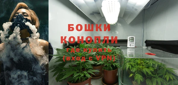 apvp Михайлов