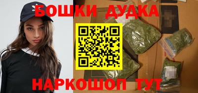 индика Конаково