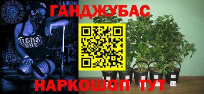 гидра Коммунар