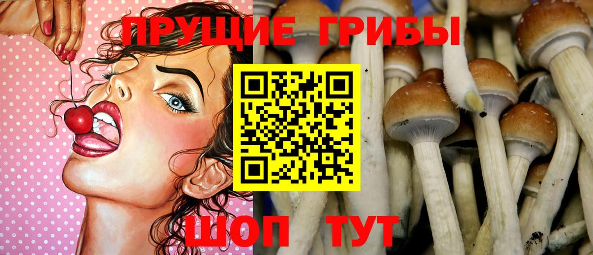 Псилоцибиновые грибы мицелий Нижнеудинск