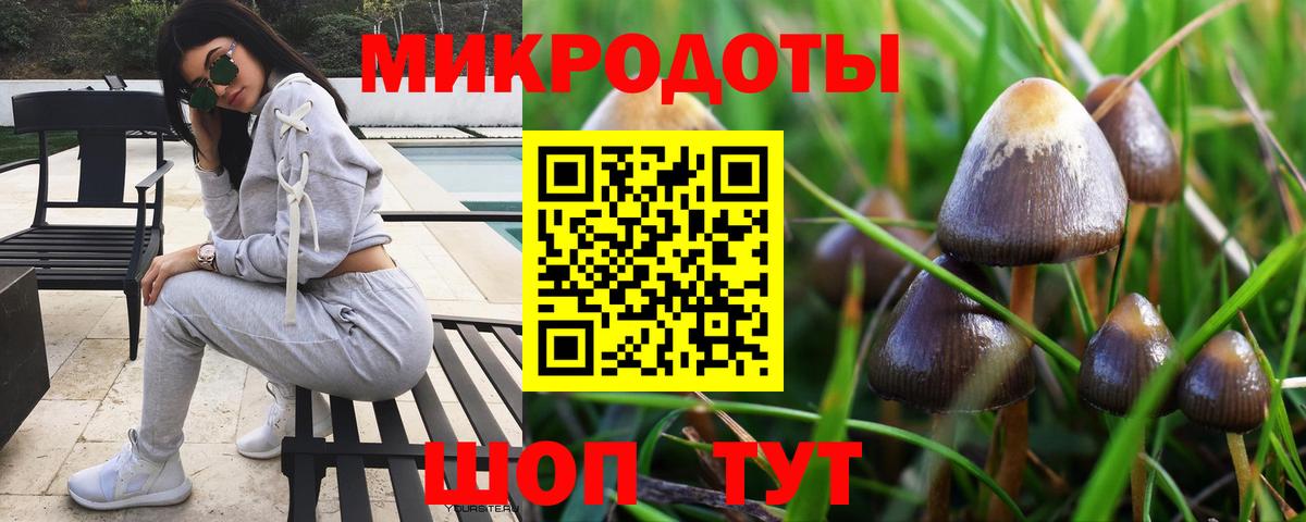 Галлюциногенные грибы мухоморы Нижнеудинск