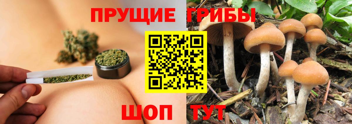 Галлюциногенные грибы мицелий  Нижнеудинск  Галлюциногенные грибы MAGIC MUSHROOMS 