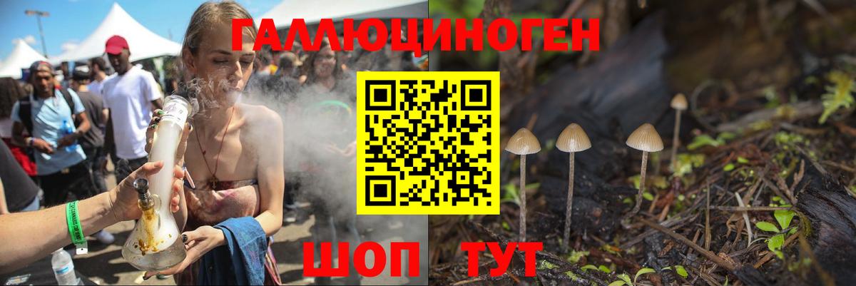 Галлюциногенные грибы Psilocybe  Псилоцибиновые грибы ЛСД  Нижнеудинск  продажа наркотиков  Вход с VPN 