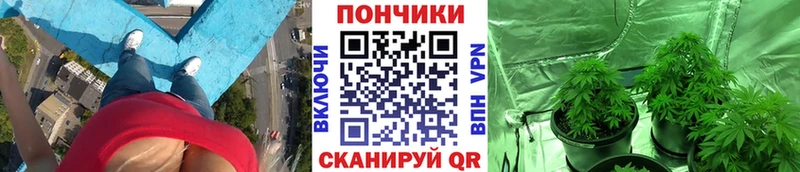 мориарти официальный сайт купить сайты Нижнеудинск Бошки марихуана тримм